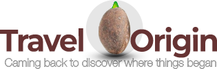 travel origin logo
